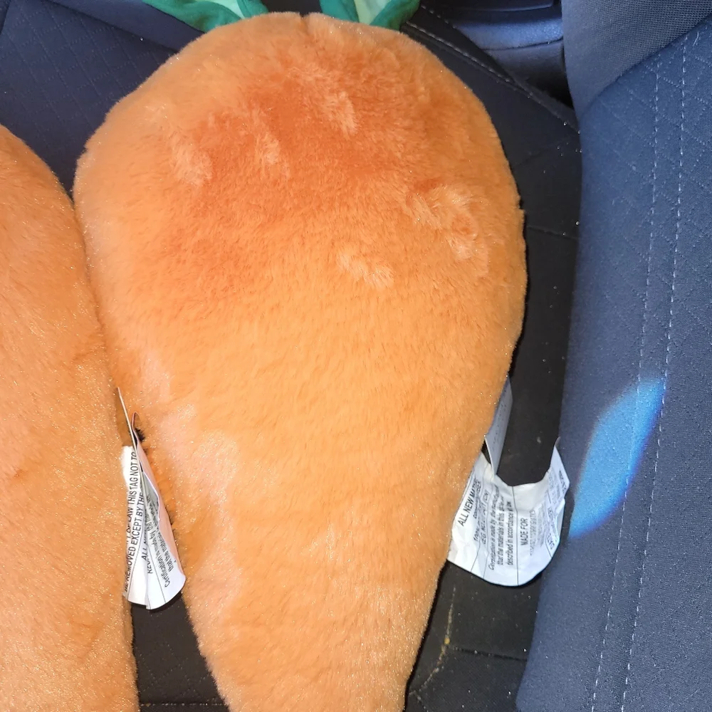 2 Target bullseye carrot pillow